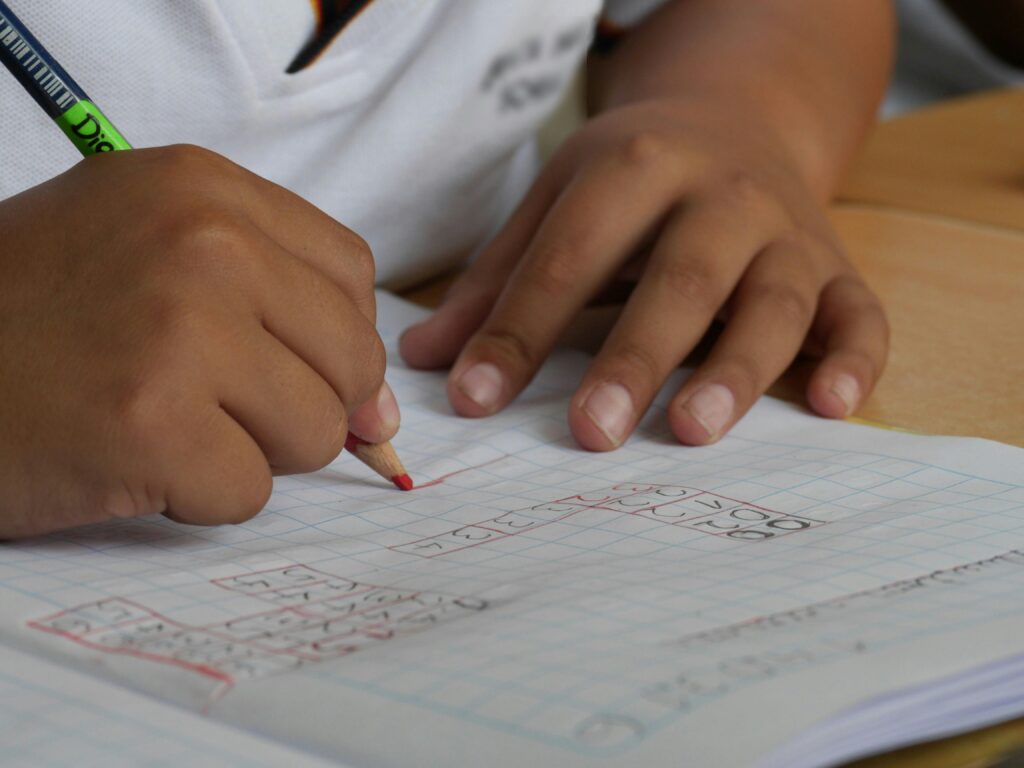 Mathematics Tutor Penrith Area